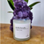 Cristal Patchouli na internet