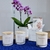 ESSENCIAL Alecrim - arommacandles