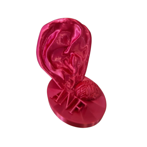 ORELHA ANF EM 3D - comprar online
