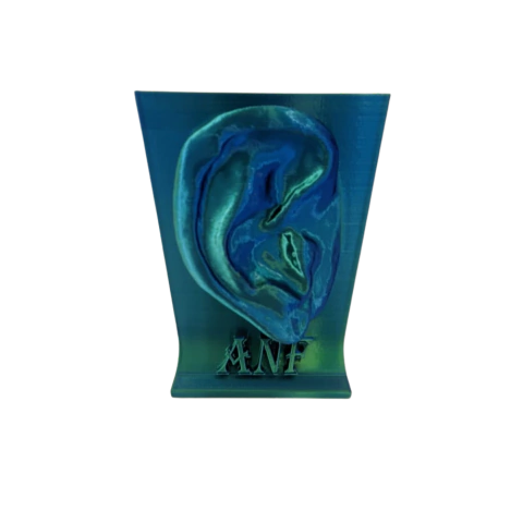 Kit com dois Porta-Livros ANF - comprar online