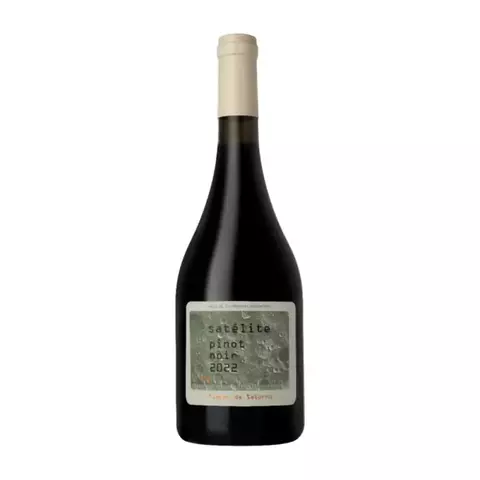 SATELITE FLORES DE SATURNO