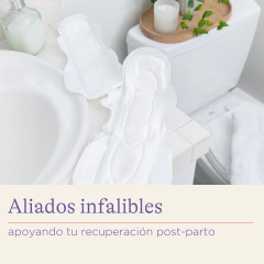 Pack Descartables ( Pads Lactancia + Pad Postparto)