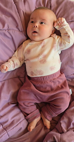 Imagen de VELVET | BABUCHA DE MORLEY