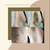 Imagem do Zena Peeling Kit Completo - 2 Sachê Peeling, Sabonete Limpeza e 10 Sachês Gel Calmante