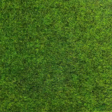 Carpete de Forração Feltro Agulhado 2.00 x 1.00m - Verde Grama