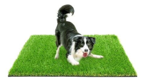 Tapete Sanitário De Grama Sintética Lavável 2m X 0,50