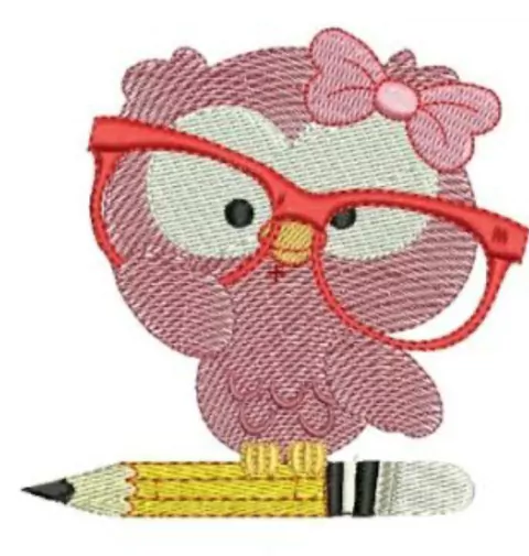 Serviço de bordado com:Coruja