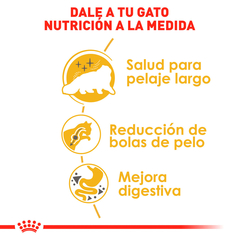 Royal Canin Gato Persa Adulto, 3.1 kg - tienda en línea