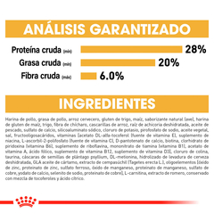 Royal Canin Gato Persa Adulto, 3.1 kg