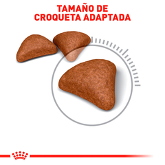 Royal Canin Hairball Gato Adulto, 2.7 kg en internet