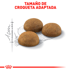 Royal Canin Gato Adulto Indoor, 3.1 kg - Tiendas Fanc