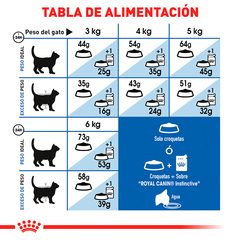 Royal Canin Gato Adulto Indoor, 3.1 kg en internet
