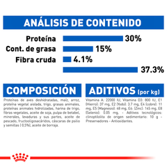 Royal Canin Gato Adulto Indoor, 3.1 kg - tienda en línea