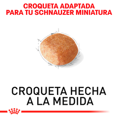 Royal Canin Schnauzer Adulto, 4.5 kg en internet