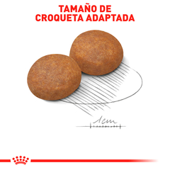 Royal Canin Perro Adulto Raza Mediana, 13.6 kg - comprar en línea