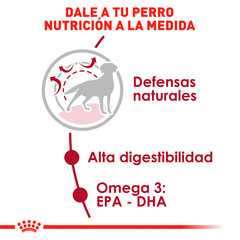 Royal Canin Perro Adulto Raza Mediana, 13.6 kg en internet