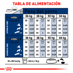 Imagen de Royal Canin Perro Adulto Raza Grande, 13.6 kg