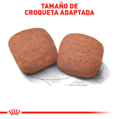 Royal Canin Adulto Raza Gigante, 13.6 kg en internet