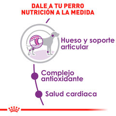 Royal Canin Adulto Raza Gigante, 13.6 kg - Tiendas Fanc