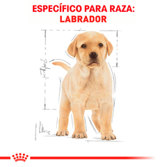 Royal Canin Labrador Cachorro, 13.6 kg - comprar en línea