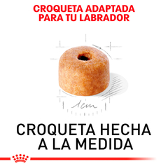Royal Canin Labrador Cachorro, 13.6 kg - Tiendas Fanc