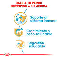 Imagen de Royal Canin Labrador Cachorro, 13.6 kg