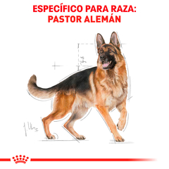 Royal Canin Pastor Alemán Adulto, 13.6 kg en internet