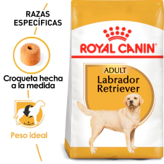 Royal Canin Labrador Adulto, 13.6 kg - comprar en línea