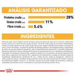 Royal Canin Labrador Adulto, 13.6 kg