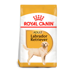 Royal Canin Labrador Adulto, 13.6 kg