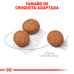 Royal Canin Perro Cachorro Raza Grande, 13.6 kg - comprar en línea