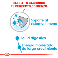 Royal Canin Perro Cachorro Raza Grande, 13.6 kg en internet