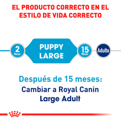 Royal Canin Perro Cachorro Raza Grande, 13.6 kg - Tiendas Fanc