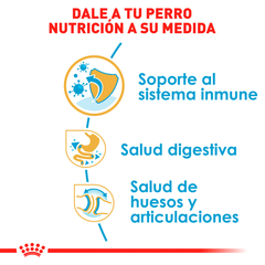 Royal Canin Cachorro Bulldog Cachorro, 13.6 kg - Tiendas Fanc