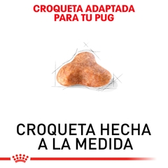 Royal Canin Pug Adulto, 4.5 kg - Tiendas Fanc