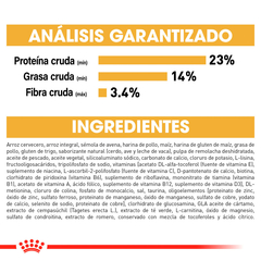 Imagen de Royal Canin Pug Adulto, 4.5 kg