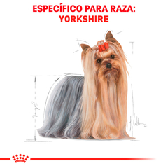 Royal Canin Yorkshire Terrier Adulto, 4.5 kg en internet