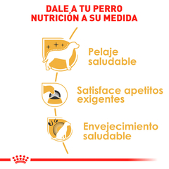 Royal Canin Yorkshire Terrier Adulto, 4.5 kg - Tiendas Fanc
