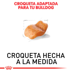 Royal Canin Bulldog Adulto, 13.6 kg en internet