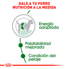 Royal Canin Raza Pequeña Adulto, 2 kg - comprar en línea