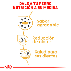 Royal Canin Chihuahua Adulto, 4.5 kg - Tiendas Fanc