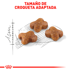 Royal Canin Kitten - Gatito , 3.1 kg - comprar en línea
