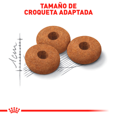Royal Canin Spayed Gato, 5.9 kg en internet