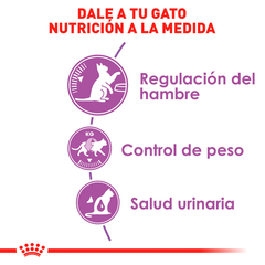 Royal Canin Spayed Gato, 5.9 kg - Tiendas Fanc