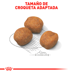 Royal Canin Raza Gigante Cachorro, 13.6 kg - comprar en línea