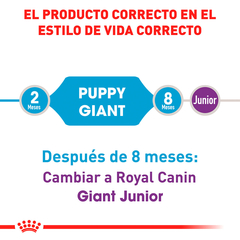 Royal Canin Raza Gigante Cachorro, 13.6 kg - Tiendas Fanc