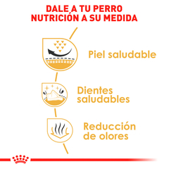 Royal Canin Shih Tzu Adulto, 4.5 kg - Tiendas Fanc