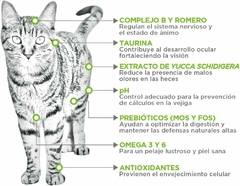 3 Pz de Alimento Nupec Nutrición Científica Consciente Indoor para gato adulto sabor pollo, salmon y arroz en bolsa de 5kg cada uno - Tiendas Fanc