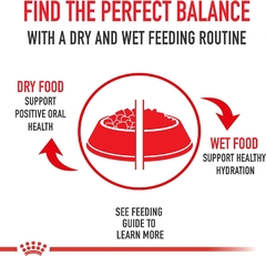 Royal Canin Urinary Care Cat 6.3 - Tiendas Fanc