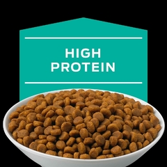 Pro Plan VD En Gastroenteric Feline de 2.72 kg en internet